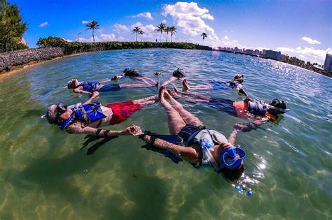 2023 Learn to Snorkel with Fish and Turtles
