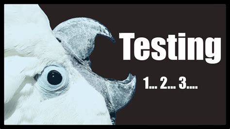 Testing 1 2 3 Sound 的图像结果