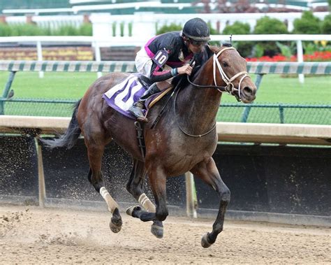 Preakness Stakes: Pros and cons for every contender | TwinSpires