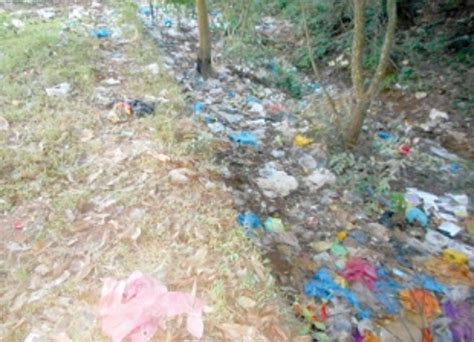 Tackling garbage menace at Queula
