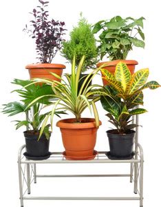 D&V ENGINEERING Metal 2-Step, 6 Planter Indoor/Outdoor Flower Pot Stand ...