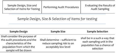 Audit Sampling Techniques
