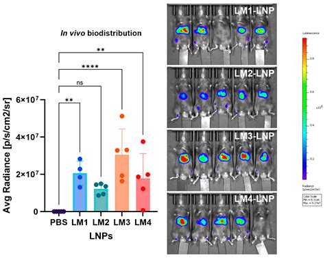 Optimizing mRNA-Loaded Lipid Nanoparticles as a Potential Tool for ...