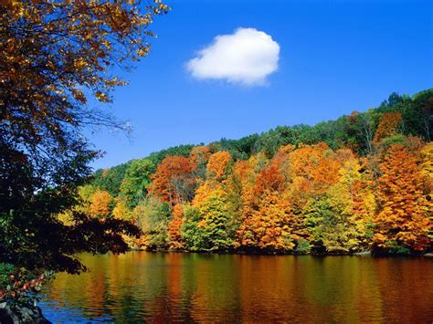 Seasonal Wallpapers - Top Free Seasonal Backgrounds - WallpaperAccess