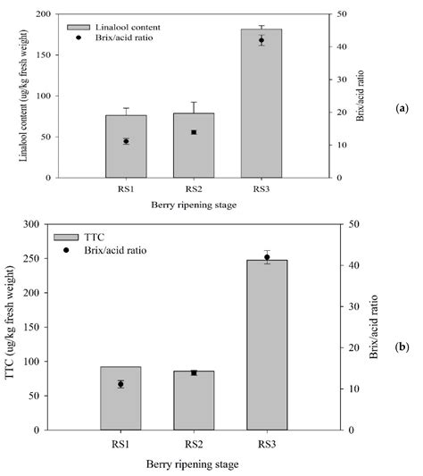 Changes in Biochemical and Volatile Flavor Compounds of Shine Muscat at ...
