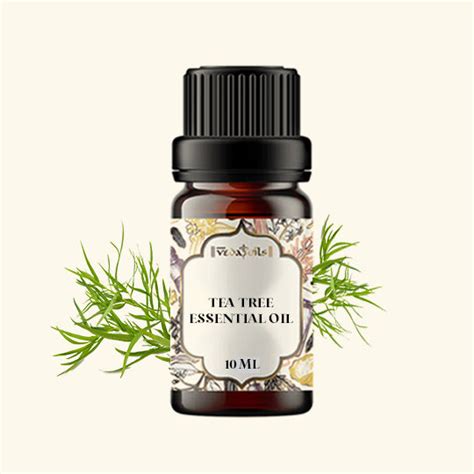 Beard Grooming Kit – 100% Pure Beard Oils - Try Now – VedaOils