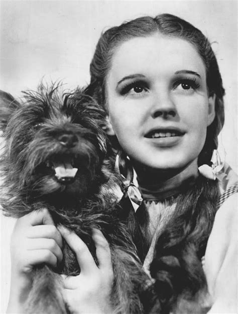 The Political and Economic Symbols Hidden Inside the Wizard of Oz | The ...
