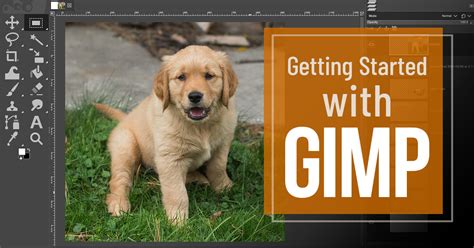 GIMP Photo Editor Tutorial 的图像结果