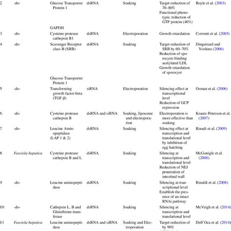 RNA Interference Diagram 的图像结果