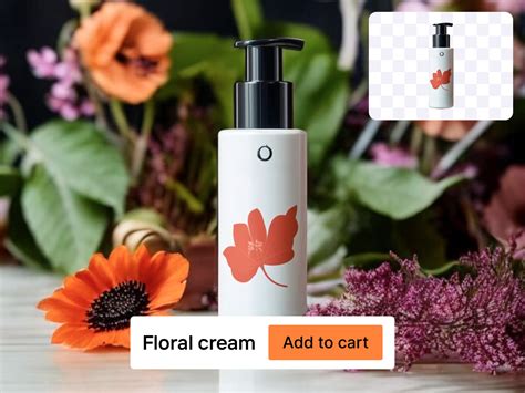 Sources Transparent Background 的图像结果