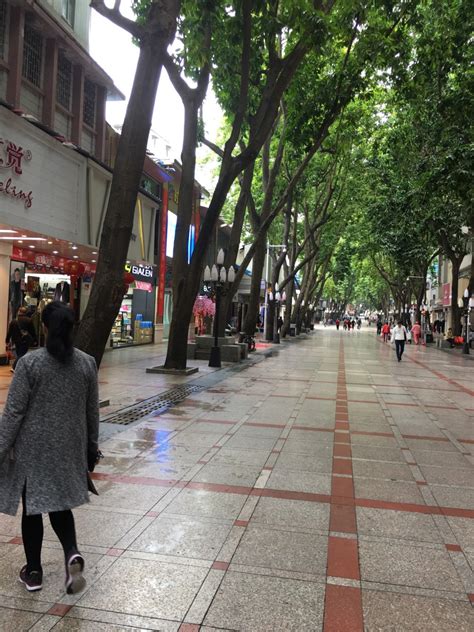惠州水東街：打造歷史風情步行街入選省級旅遊休閒街區