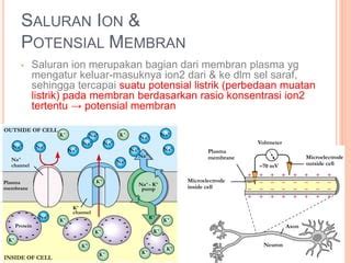 Image result for Ccpp Projects