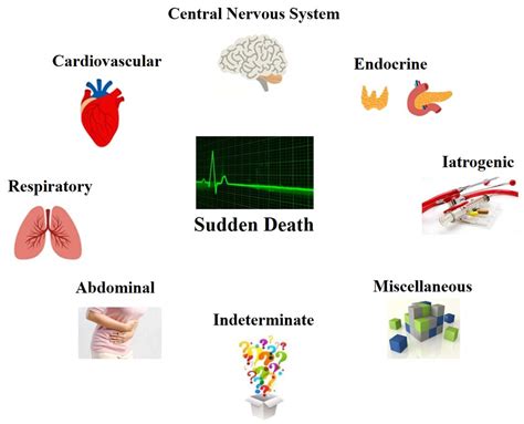 Sudden Death in Adults: A Practical Flow Chart for Pathologist Guidance