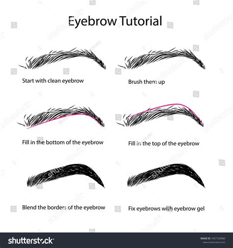 Image result for How to Draw Eyebrows Properly