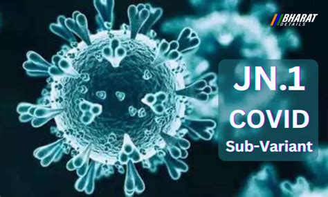 India On High Alert As Fresh JN.1 Sub-variant Of COVID Cases Surge Sharply