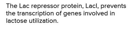 What is the role of RNA polymerase? Only the proteins that the bacteria ...