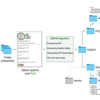 ABF Files in Python 的图像结果