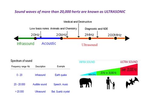 PPT - ULTRASONICS PowerPoint Presentation, free download - ID:8789679