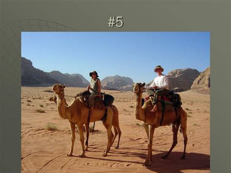 Body Language Pie-Chart 的图像结果