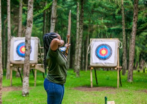 Forest Adventure 的图像结果