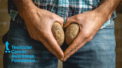 Testicular Cancer Kidney at Randall Maupin blog