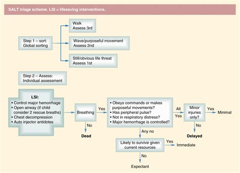 The Surgeon’s Role in Mass Casualty Incidents - Clinical Tree