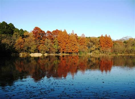 THE 10 BEST Resorts near Shakujii Park, Nerima