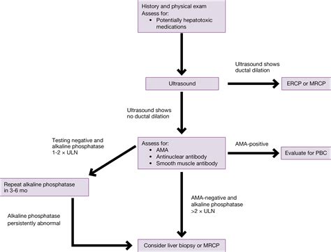 Zonisamide Elevated Liver Enzymes at John Musgrave blog