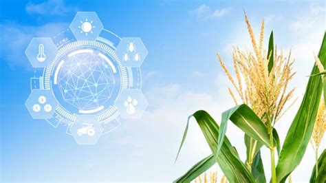 Agriculture Infographic 的图像结果