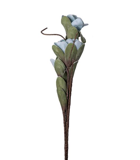 Jasmine Blue - Set of 2 – htohshop