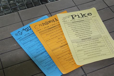 Swim Lesson Report Cards 的图像结果