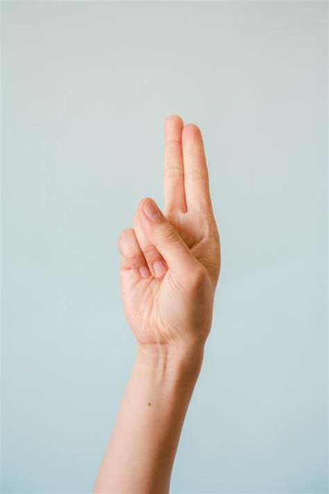 Person Doing Sign Language 的图像结果