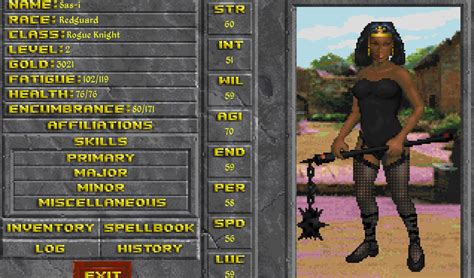 Image result for Daggerfall Unity Review