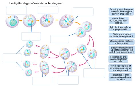 Image result for Example of Engineering Problem Equations