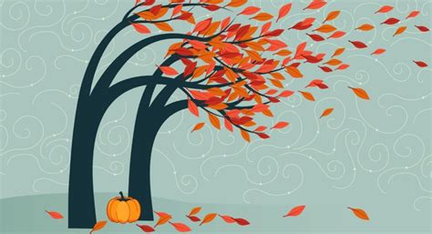 Nature Physics 的图像结果