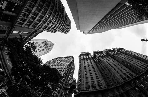 Component Object Model Tutorial 的图像结果