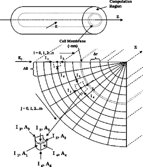 Cable Model Example 的图像结果