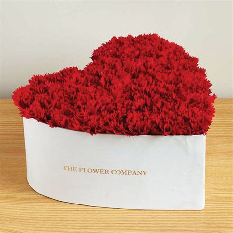 Valentine's Day Special – The Flower Company