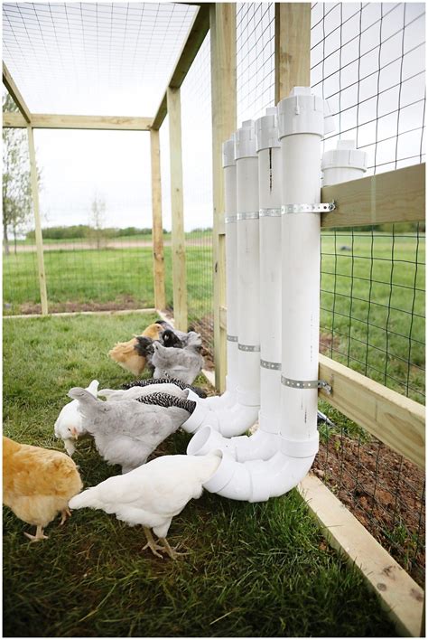 DIY Chicken Feeders From PVC - Sugar Maple Farmhouse