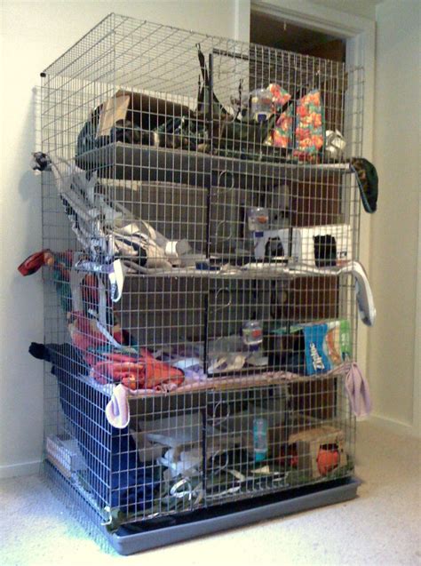 Pet Store For Rat Cage at Levi Skipper blog