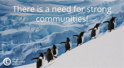 Image result for Linux Professional Institute