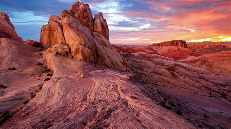 Summer sunset over the Valley of Fire State Park in the Nevada desert, USA | Windows Spotlight ... - wildlife in valley of fire state park