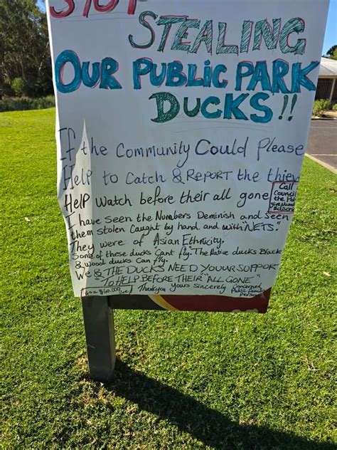 Image result for Daplancer