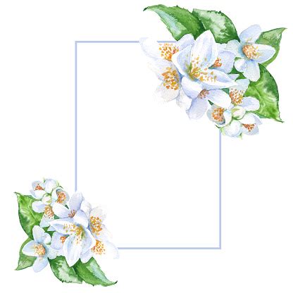 Image result for Java Display Choices