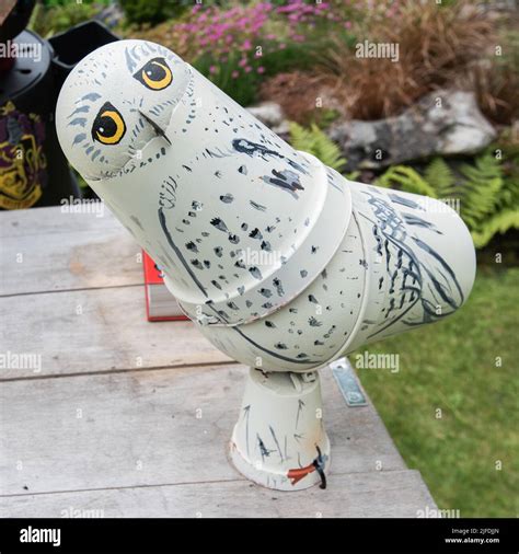 Harry potters owl hi-res stock photography and images - Alamy