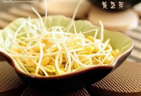 黄豆的热量(卡路里cal),黄豆的功效与作用,黄豆的食用方法,黄豆的营养价值