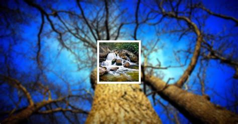 Obituary | Charles R. Brane | McColaugh Massie Funeral Home