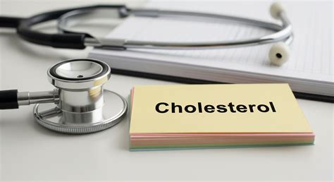 Why Cholesterol Levels Rise in Winter & How to Control Them