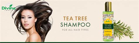 Buy Divine India Tea Tree Shampoo, 200ml Online at Low Prices in India ...