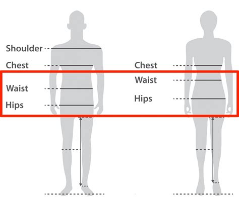 Hips Vs Waist: Understanding The Difference – FFPKG